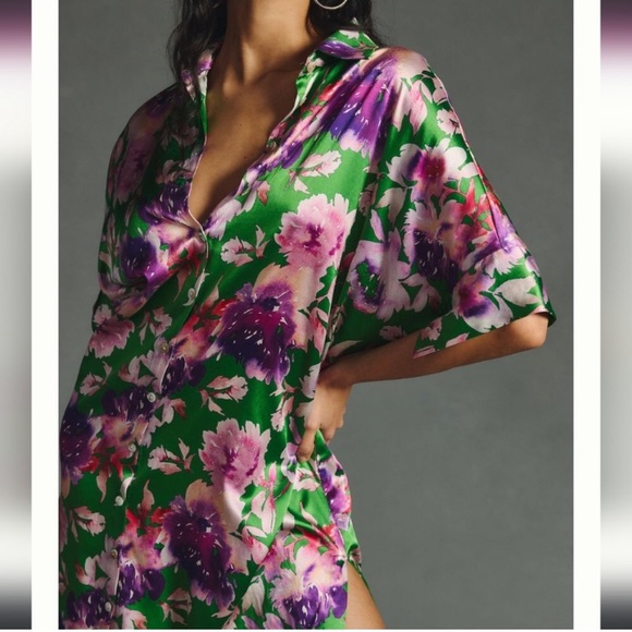 ISO Delfi Collective / Anthropologie Half-Sleeve Shirt Dress - Picture 4 of 4